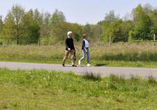 Wolfslaar: wandelen